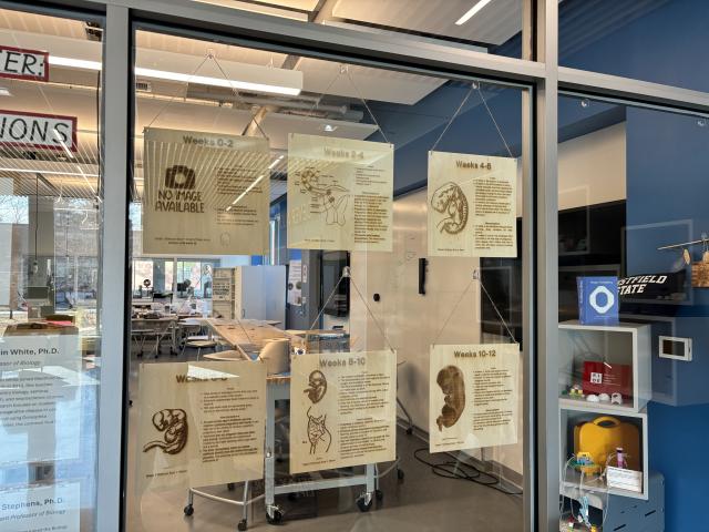 public service announcements engraved onto plywood, 1st trimester facts and misconceptions, on display at the RIDE Center
