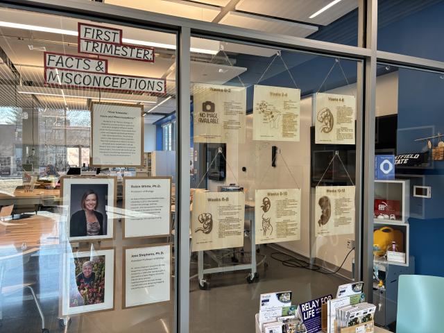 public service announcement engraved onto wood on display at RIDE Center, detailing 1st trimester facts and misconceptions